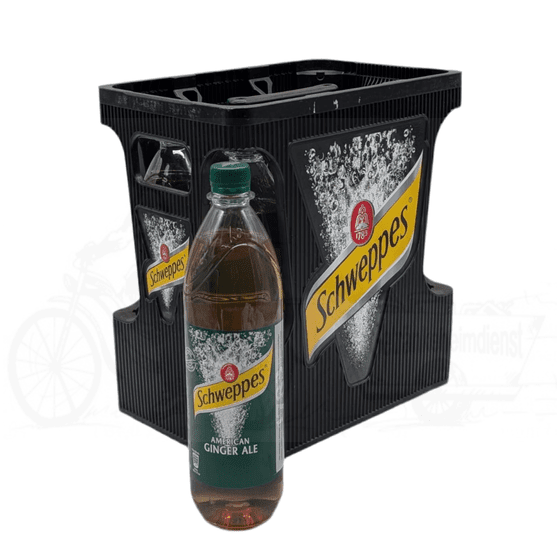 Schweppes Ginger Ale 6 x 1,0l PET